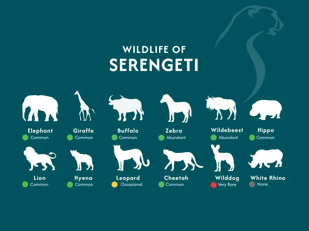 Serengeti National Parks