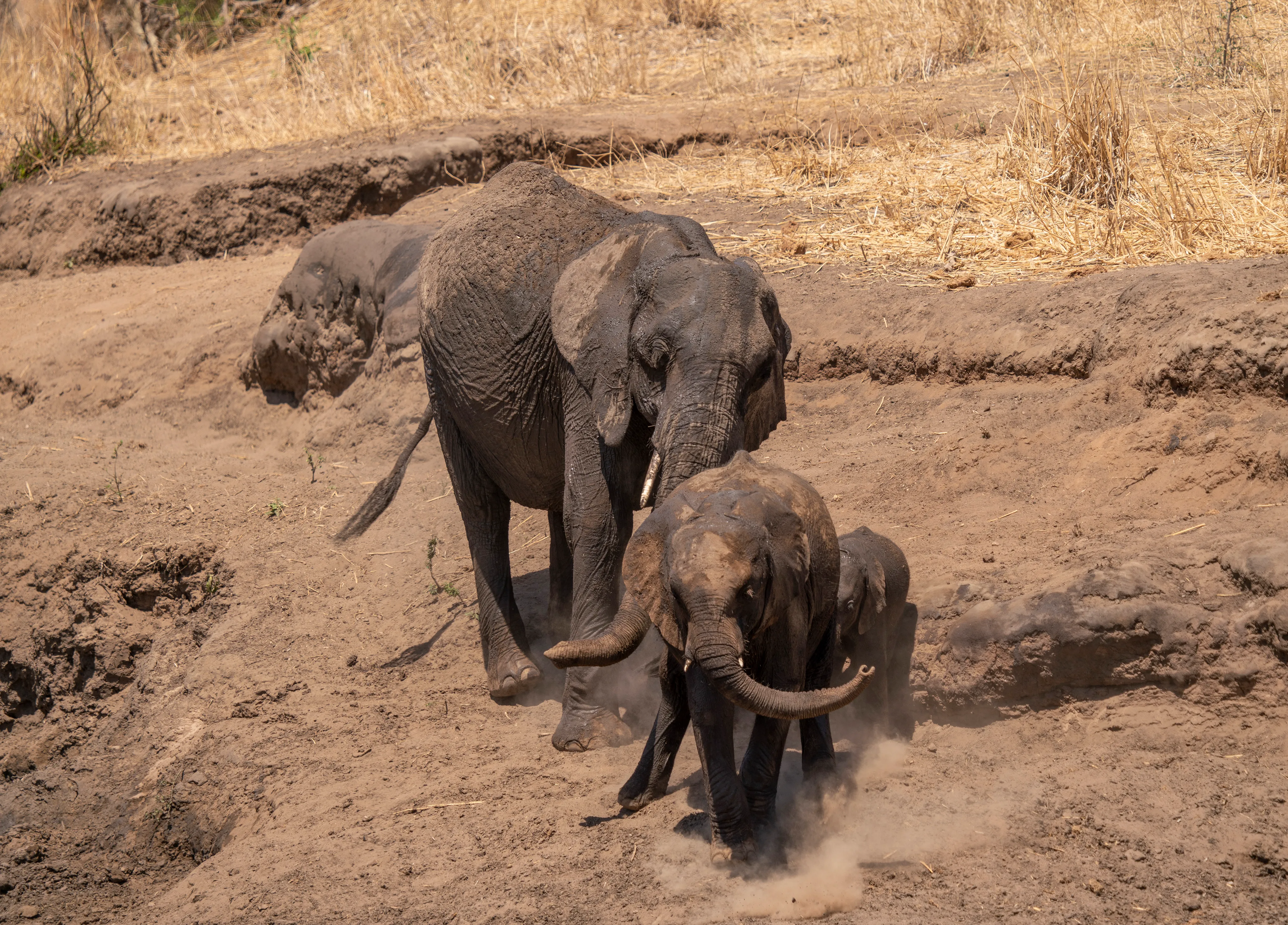 Things To Do In Tanzania