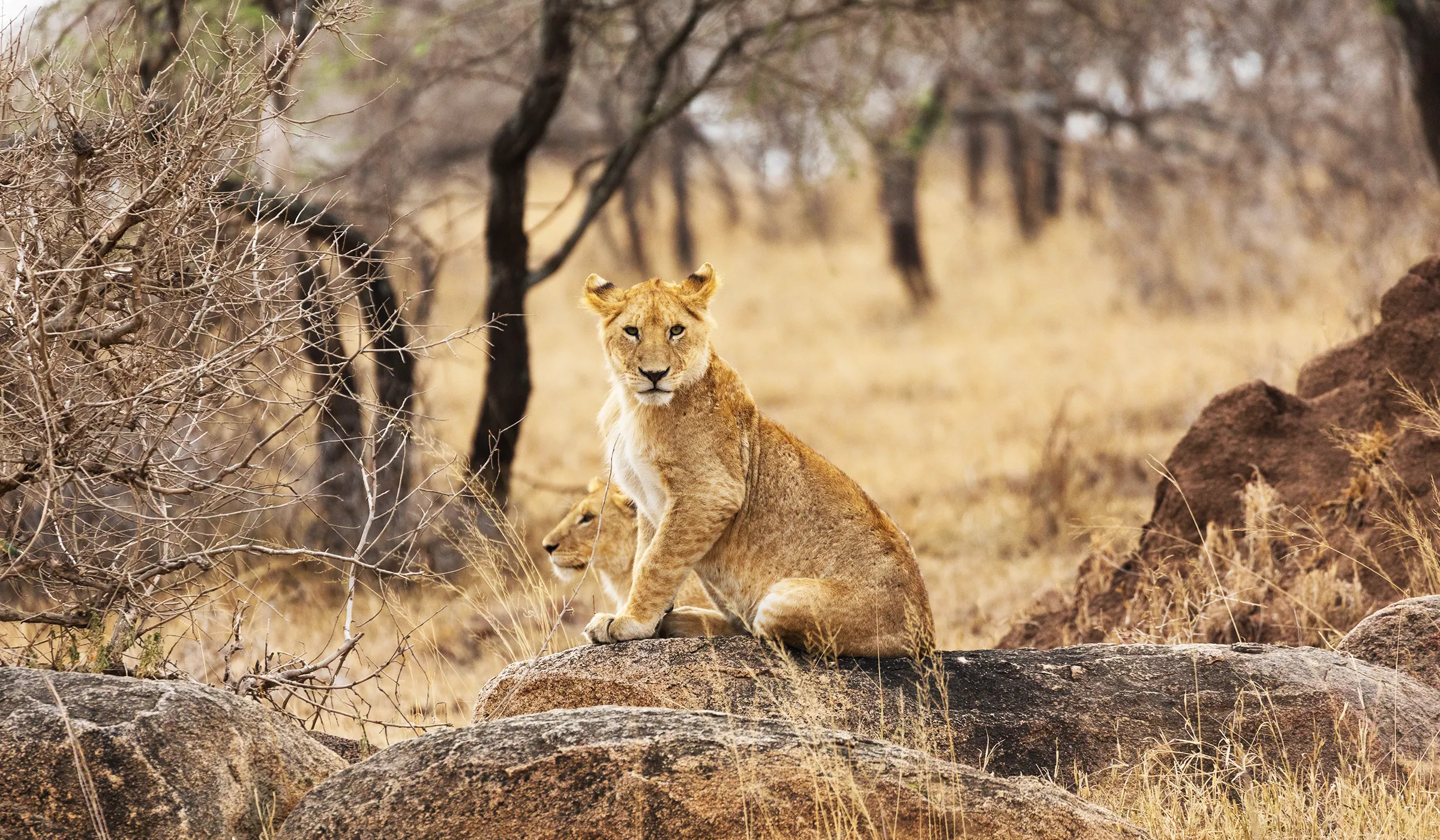 Travel in Tanzania