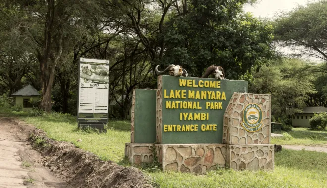 Gateway to the Groundwater Forest