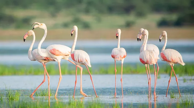 10 Days Tanzania Private Safari