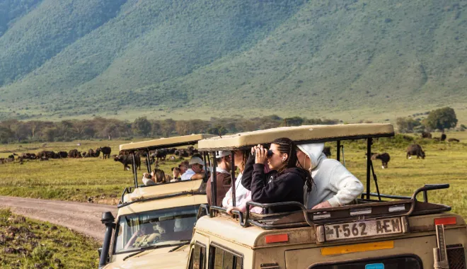 Ngorongoro: A Front-Row Seat to the Wild