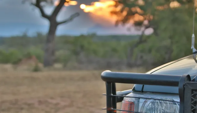 Game Drives