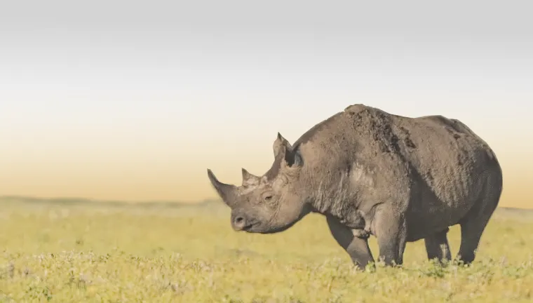 2 Days Safari Tarangire and Ngorongoro Crater