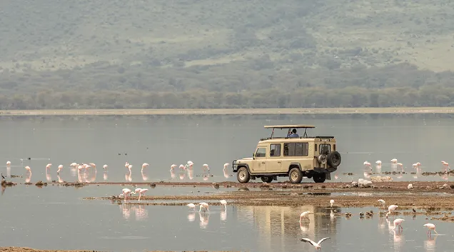 2 Days Safari Tanzania