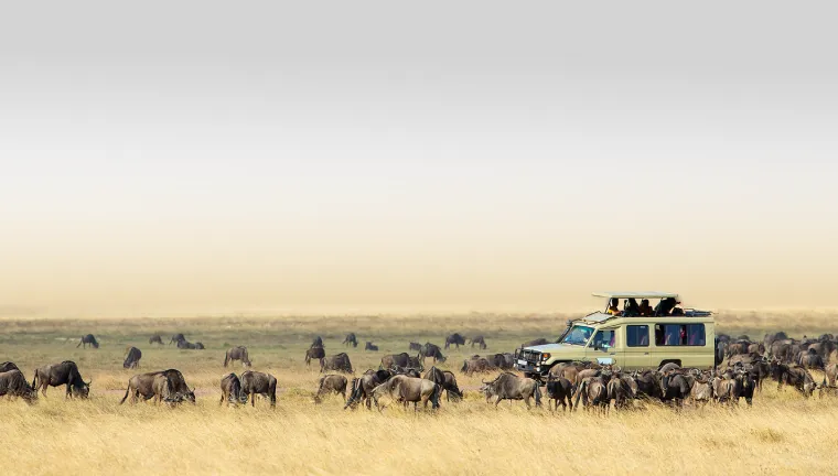 2 Days Safari (Tarangire/Ngorongoro Crater)