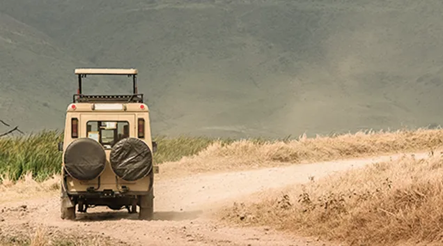 Tanzania Safari