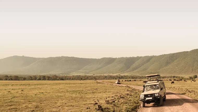 3 Days Tanzania Budget Safari