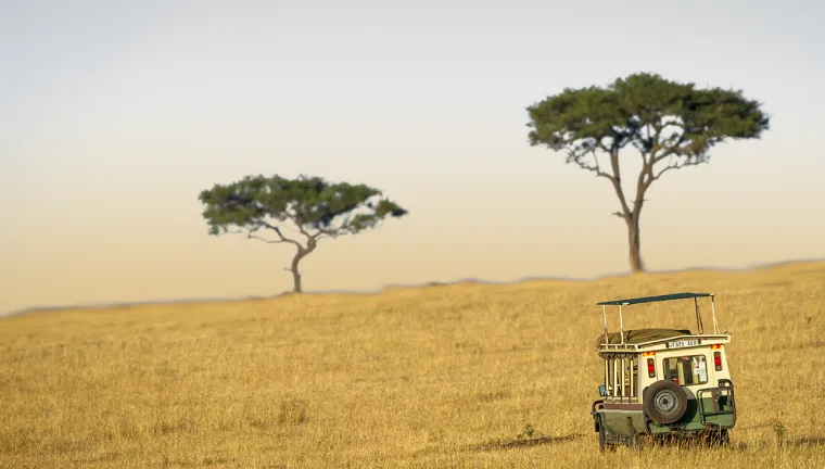 3 Days Tanzania Private Safari
