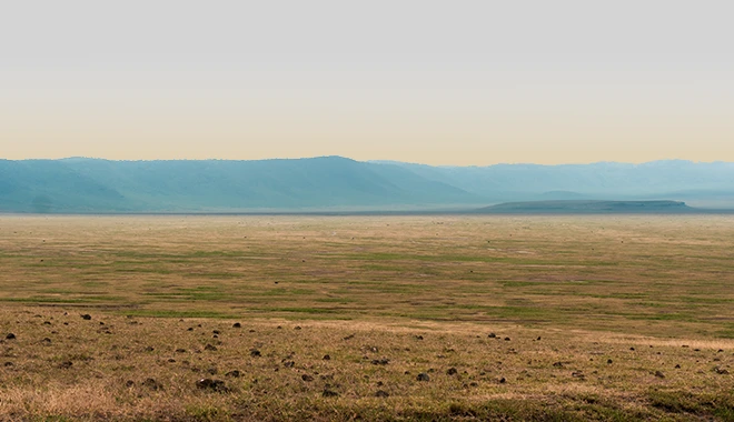 Ngorongoro Crater Floor