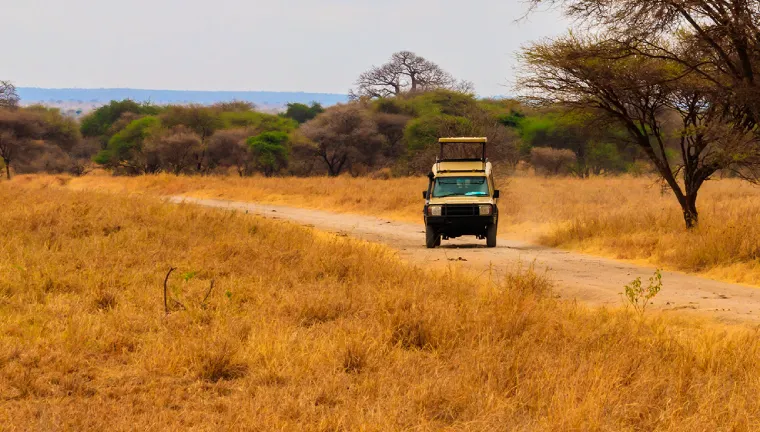 3 Days ( Tarangire / Ngorongoro Crater/ Lake Manyara)