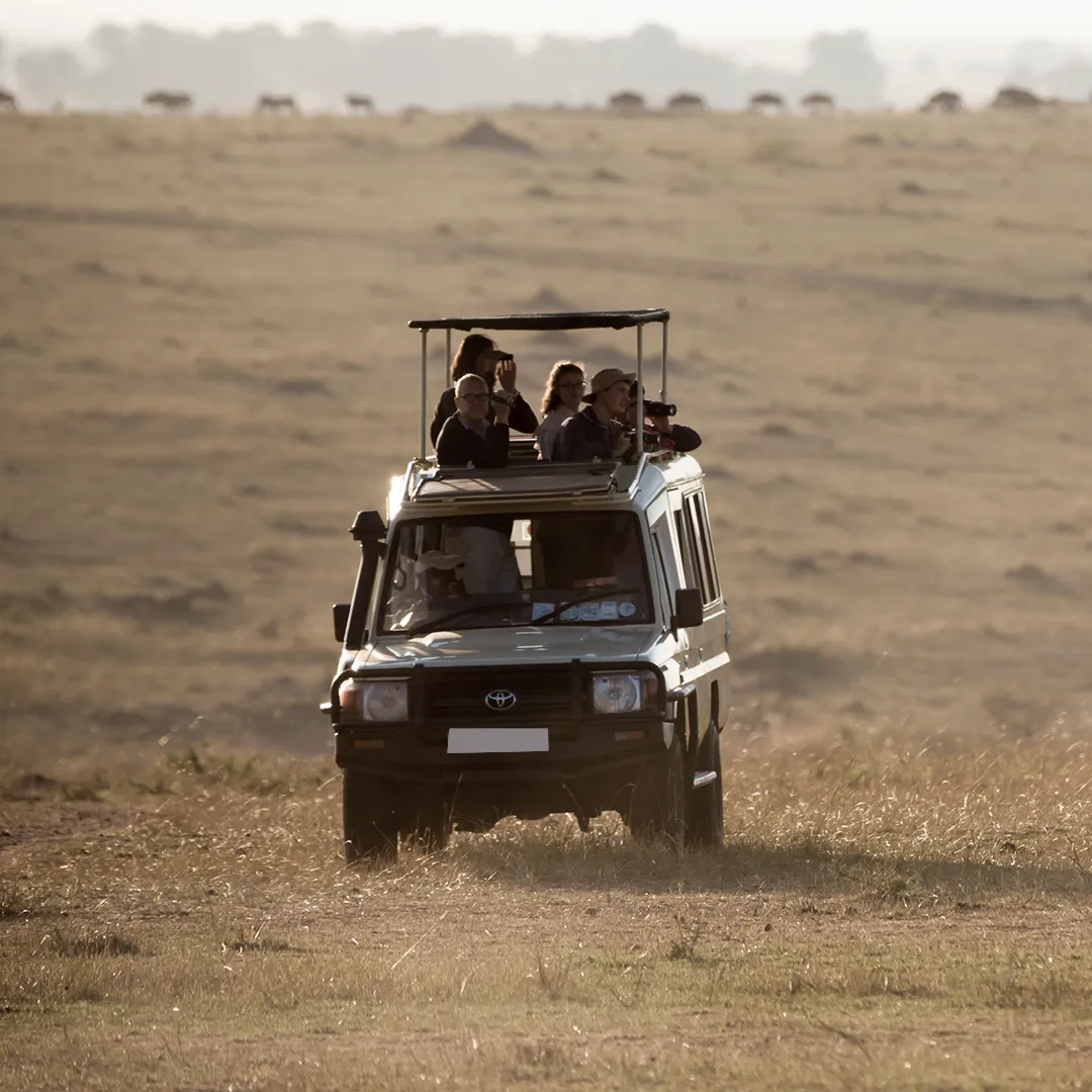 Tanzania Attractions