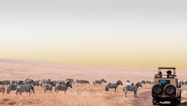4 Days Tanzania Family Safari