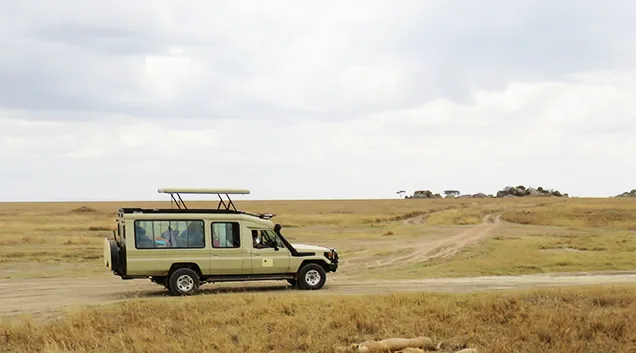 Tanzania Safari Game Drives