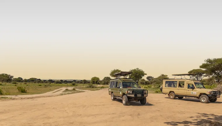 4 Days Tanzania Private Safari