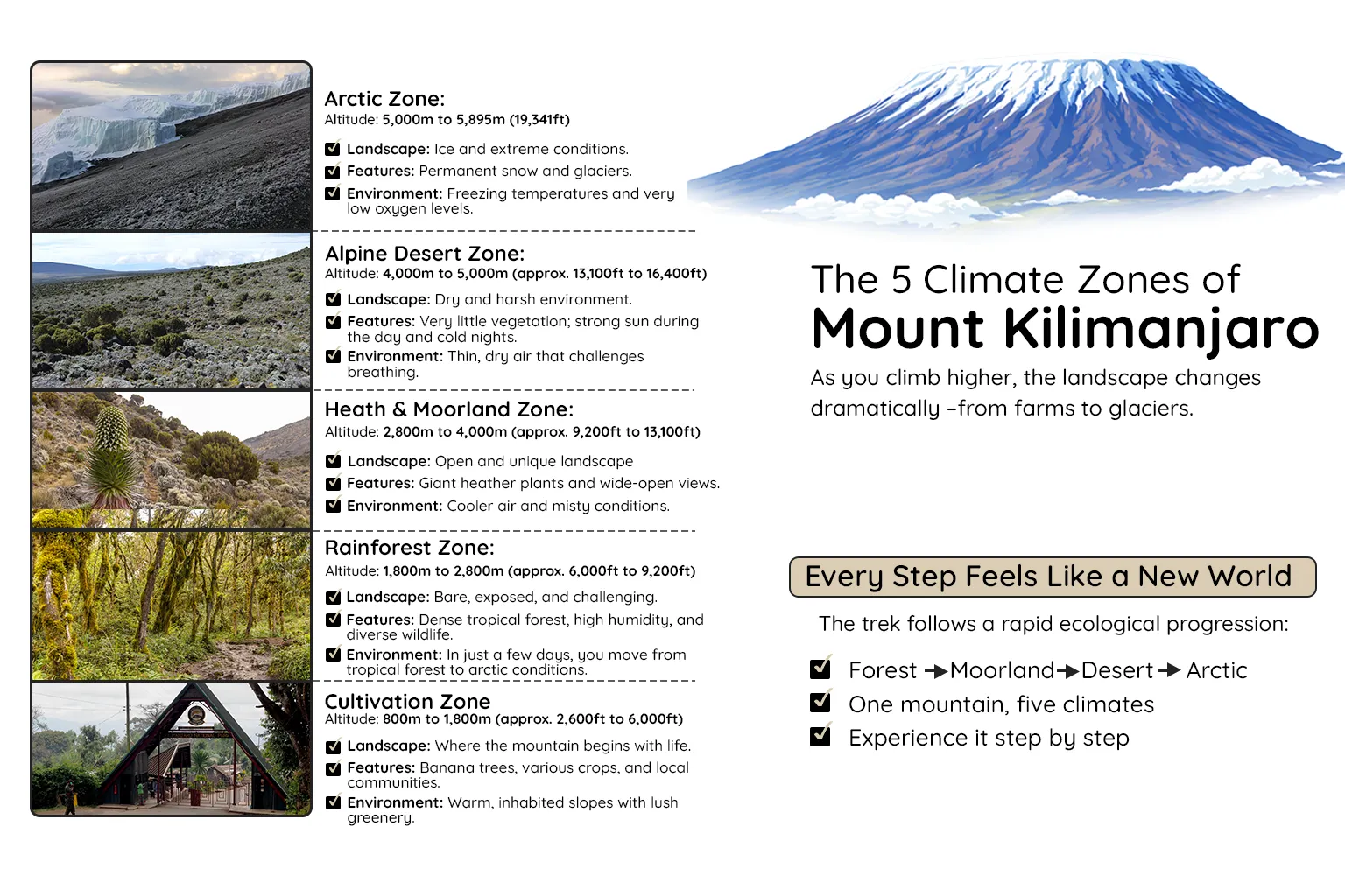 Kilimanjaro Climate Zone