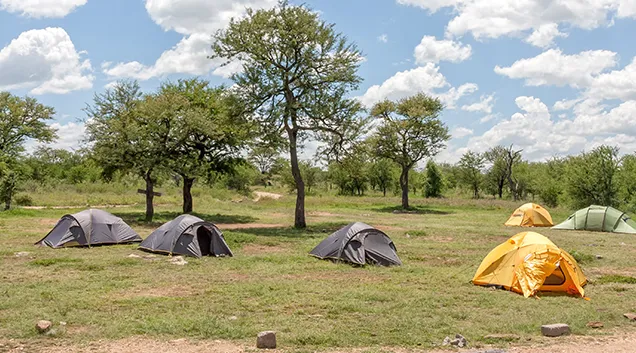Tanzania Safari