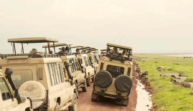 Game Drive