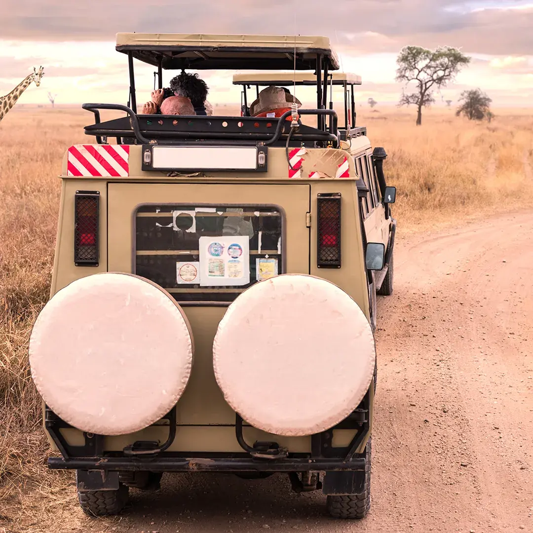Tanzania Attractions