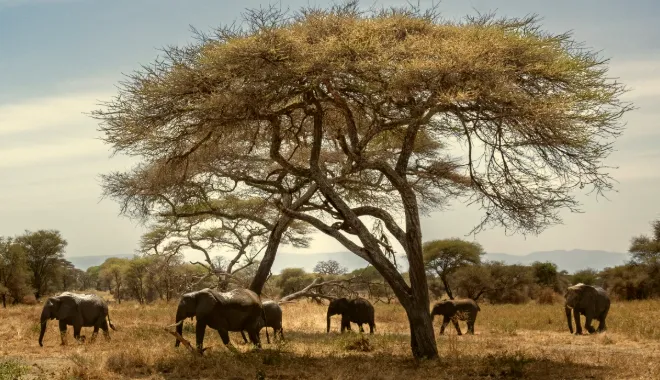 Best time to visit Kilimanjaro