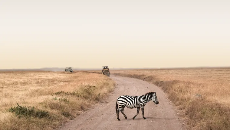 7 Days Tanzania Private Safari
