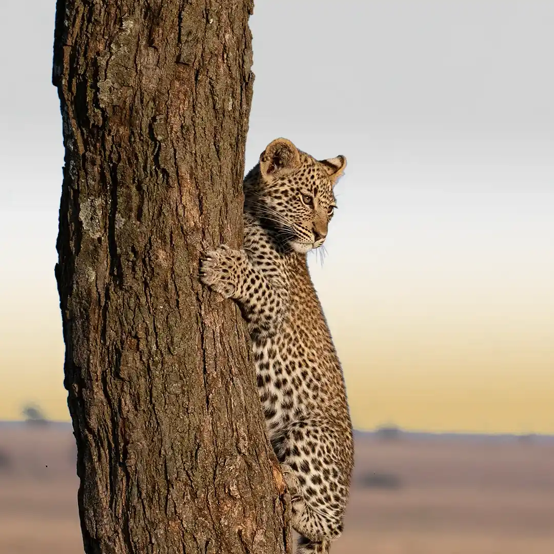 Tanzania Attractions