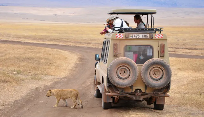 Game Drive