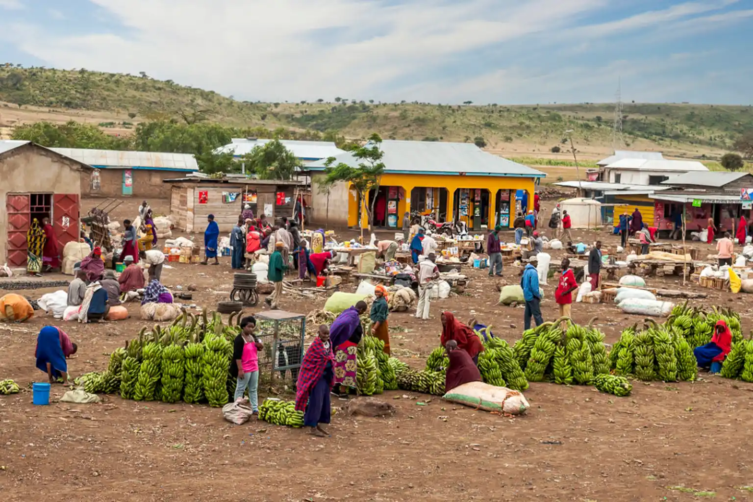Arusha City Market