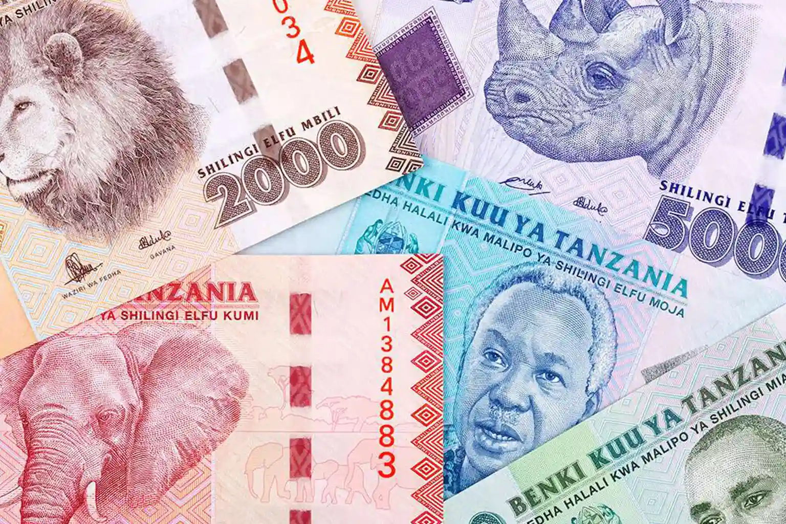 Best time to visit Kilimanjaro