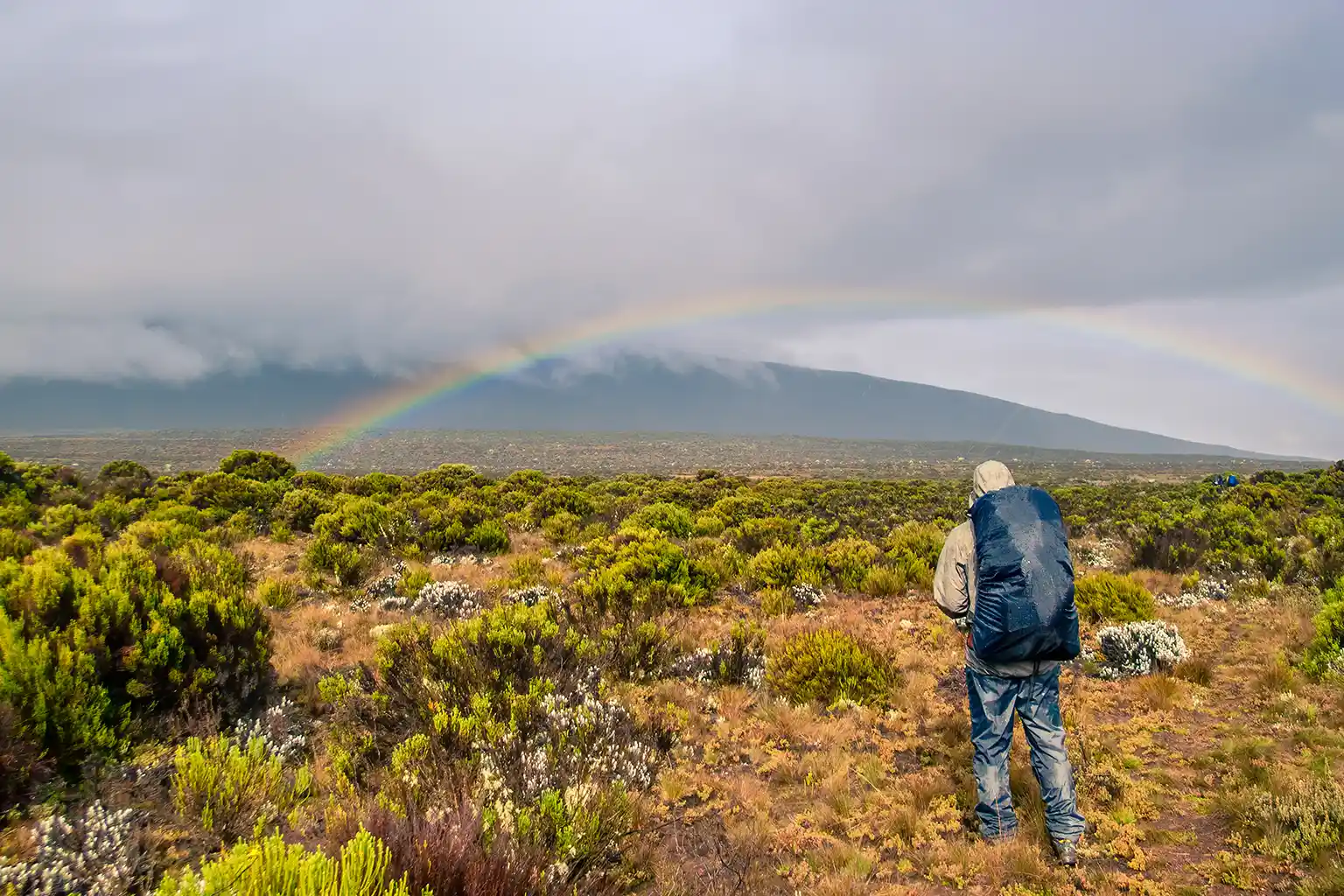 Kilimanjaro During the Long Rainy Season