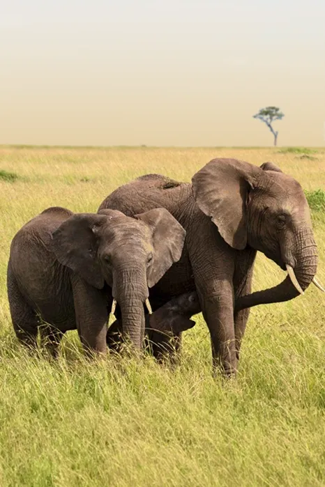 Best time to visit Kilimanjaro