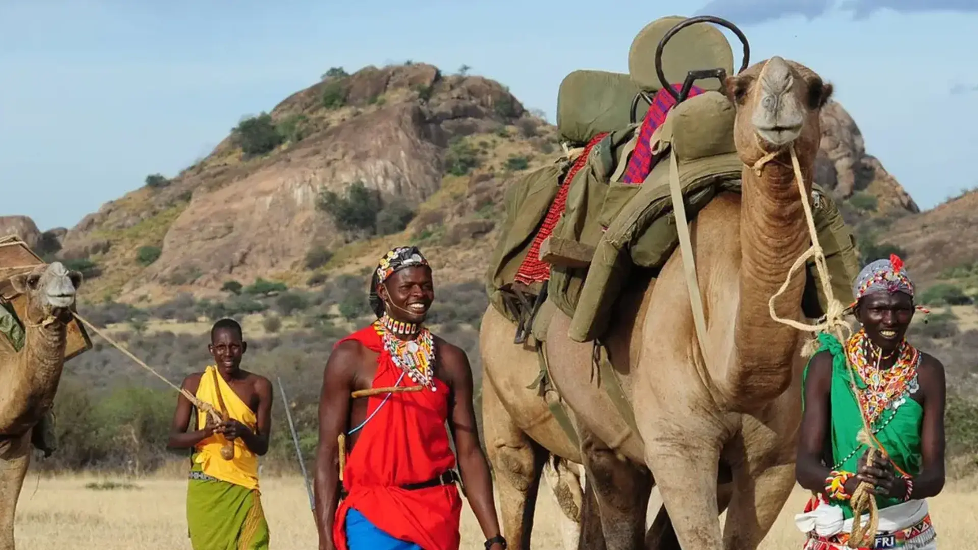 Bestday Safaris