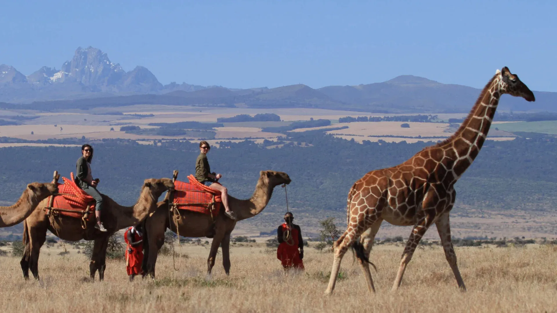Bestday Safaris