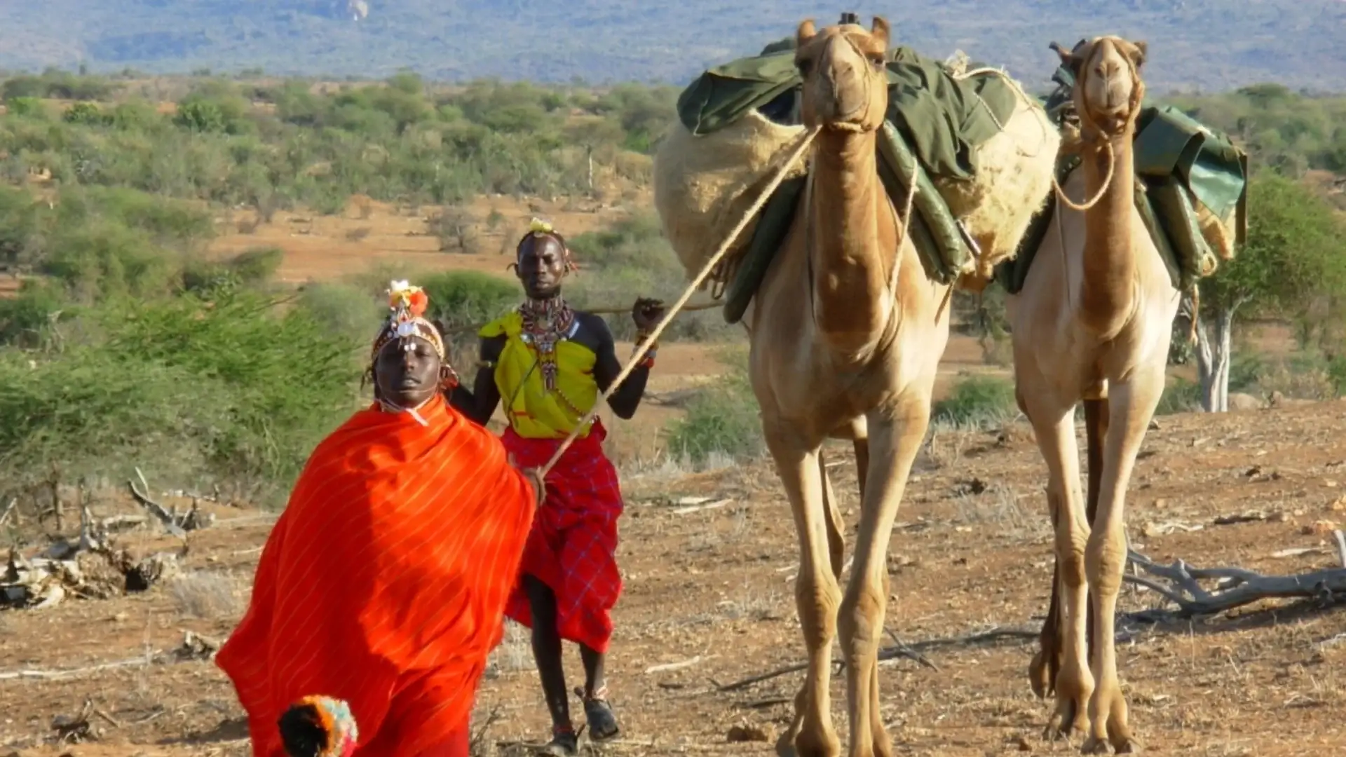 Bestday Safaris