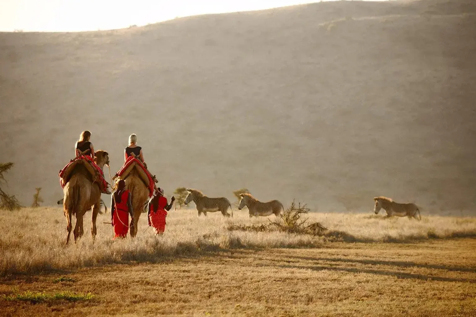 Best Time for Camel Ride Safari