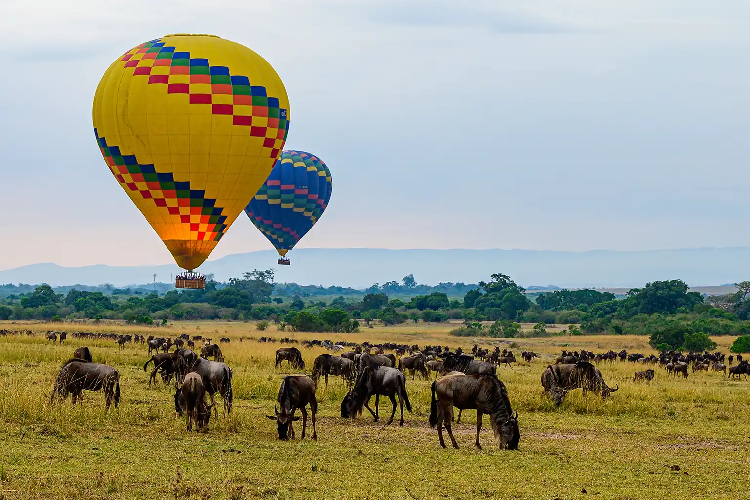Hot Air Balloon Safari Game Drive