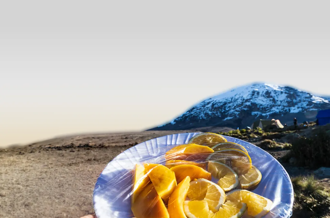 Kilimanjaro Foods