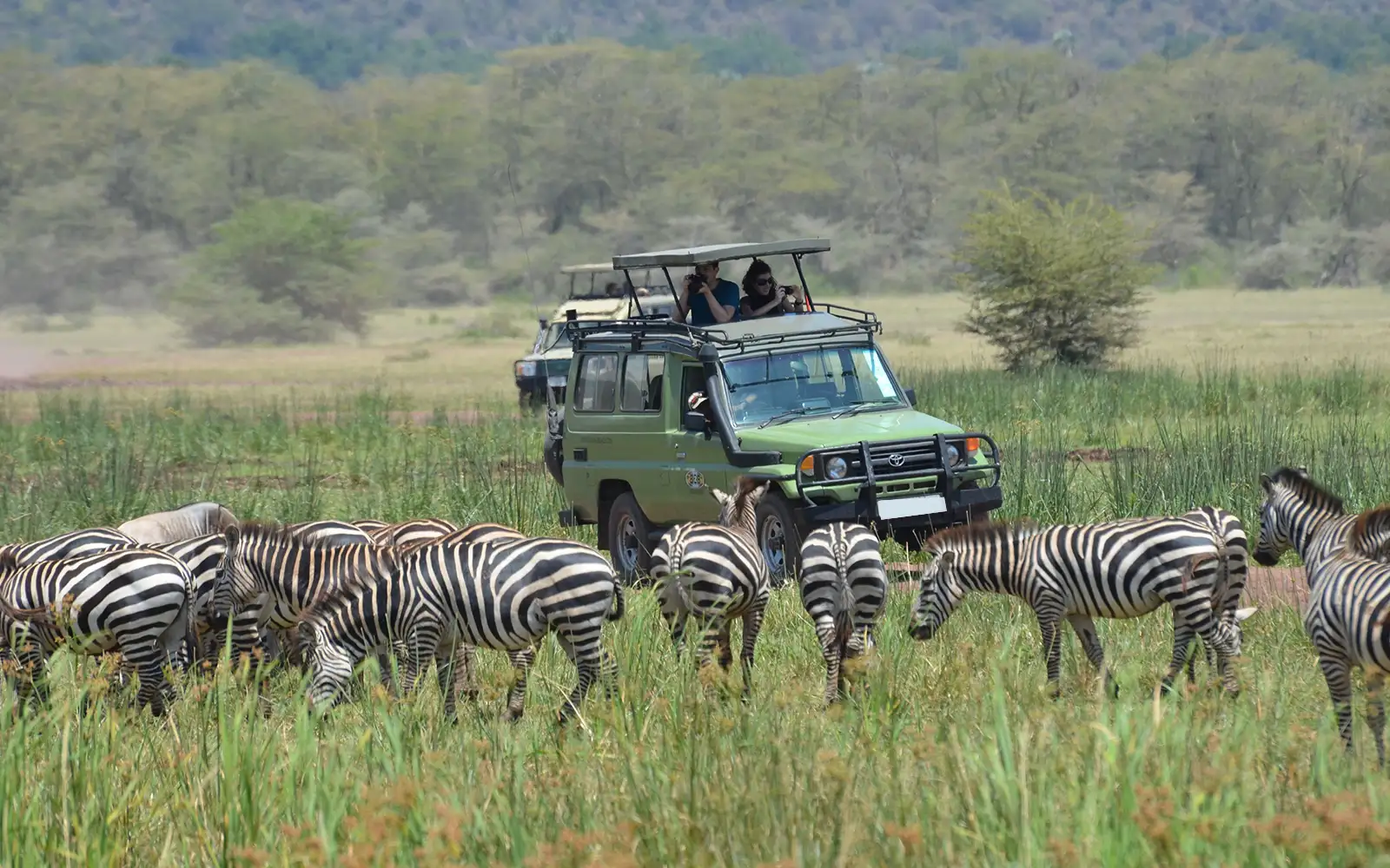 Game Drives