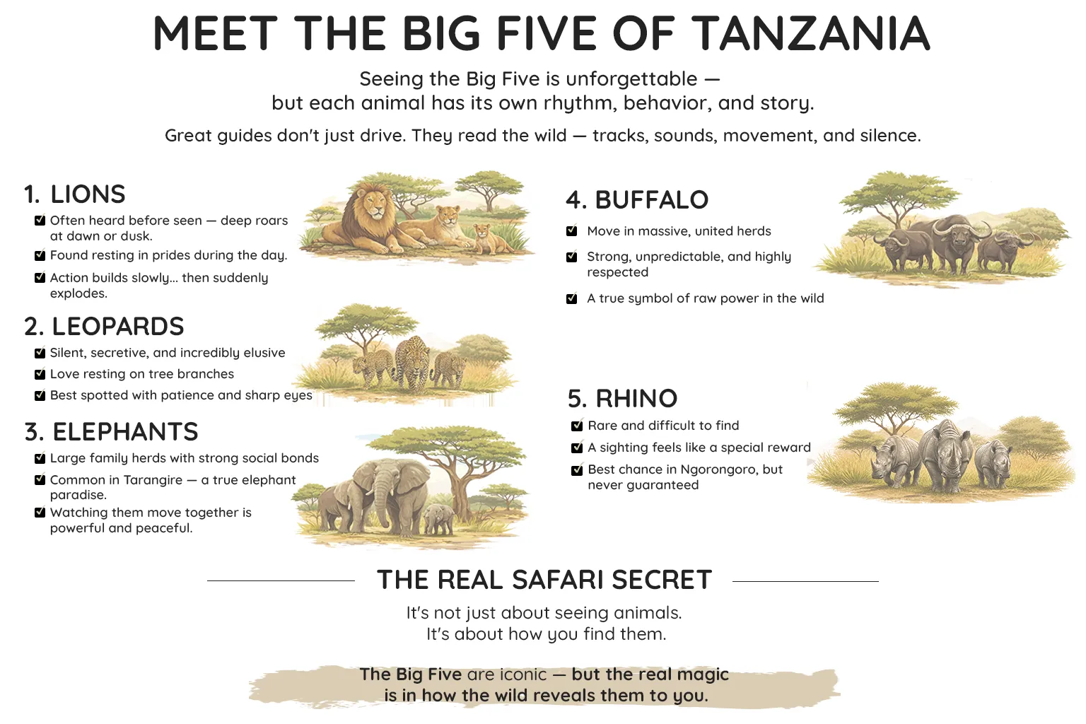 Tanzania Big Five Five Safari