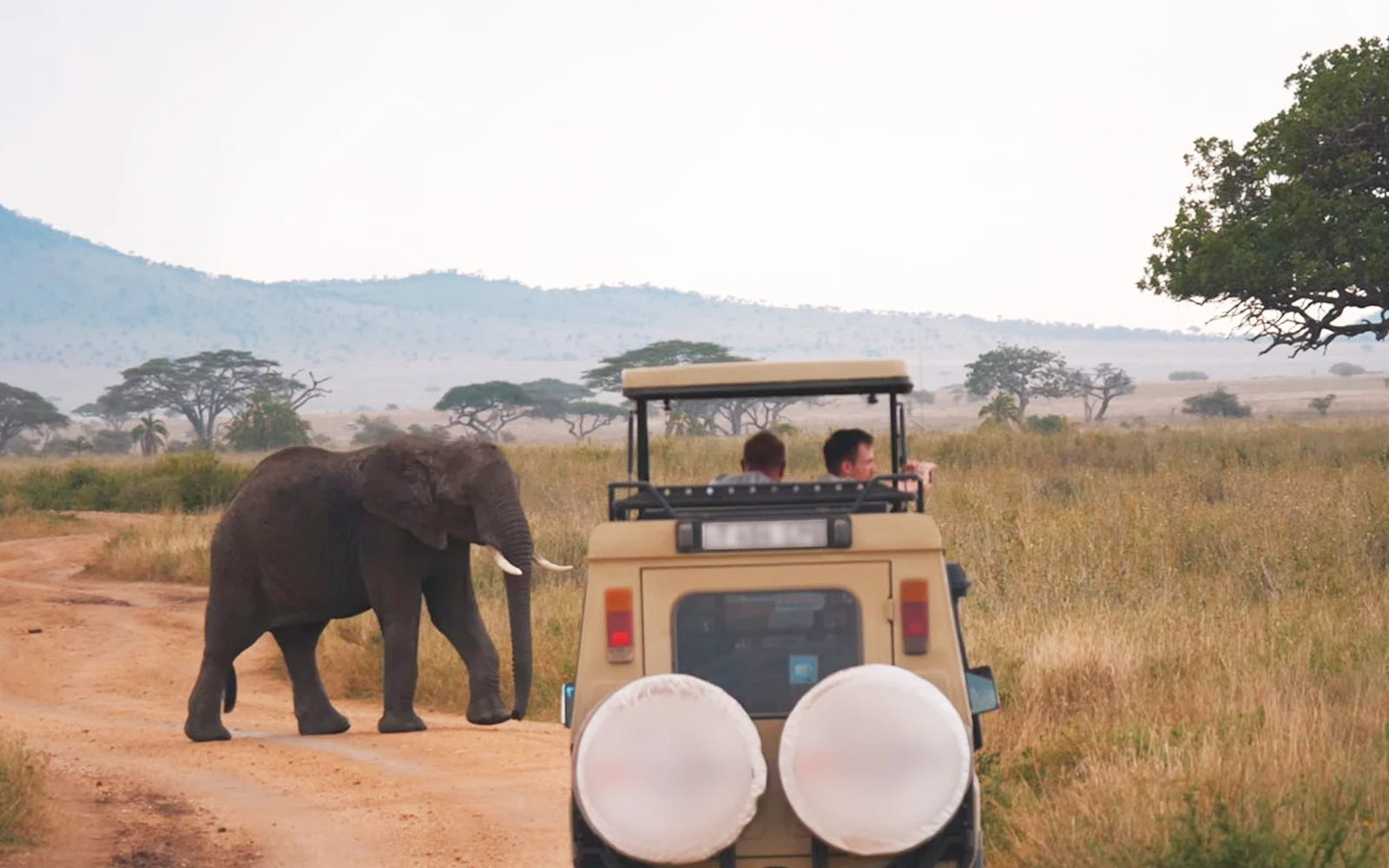 Game Drives