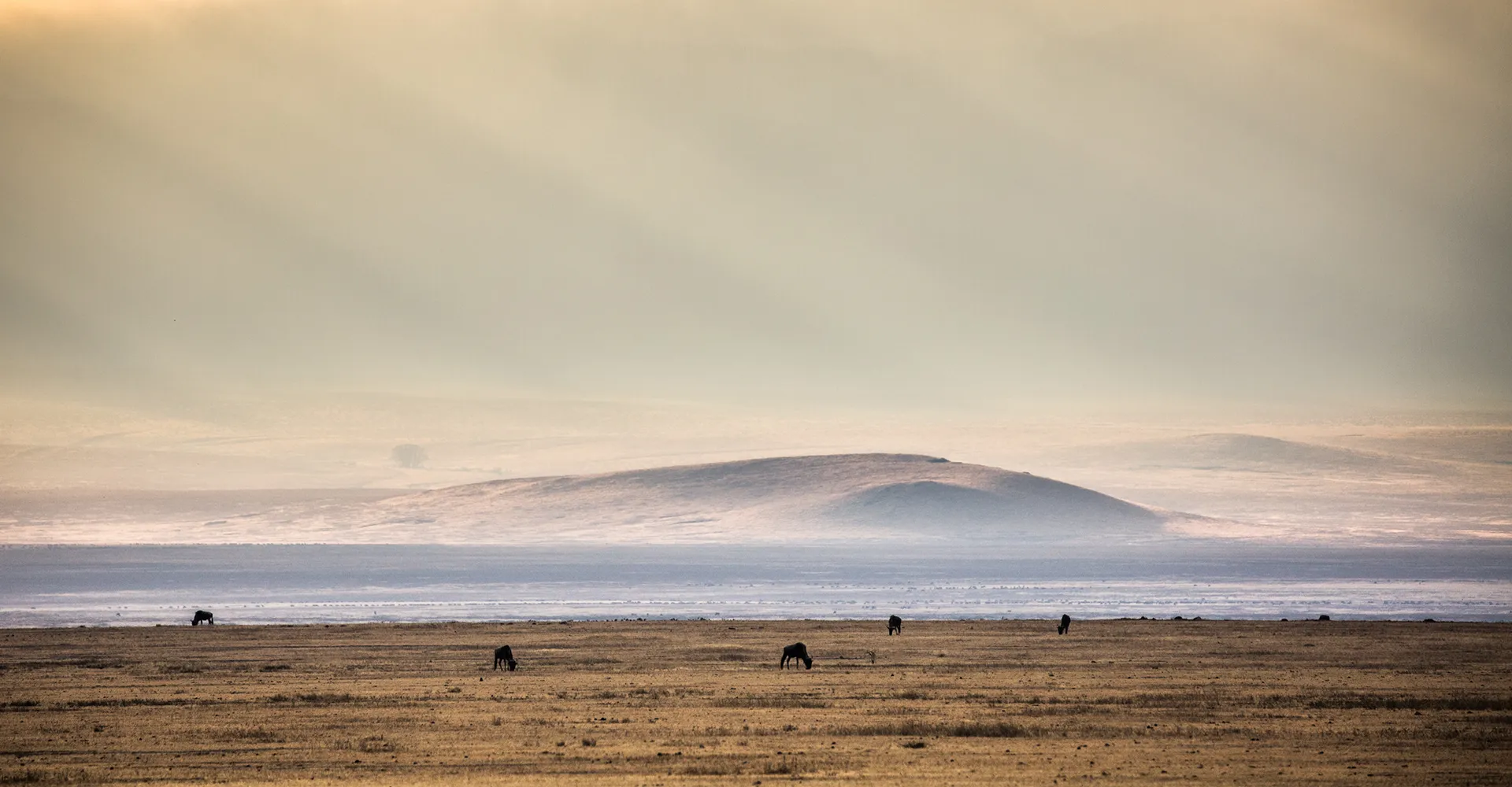 Ngorongoro Crater Attractions