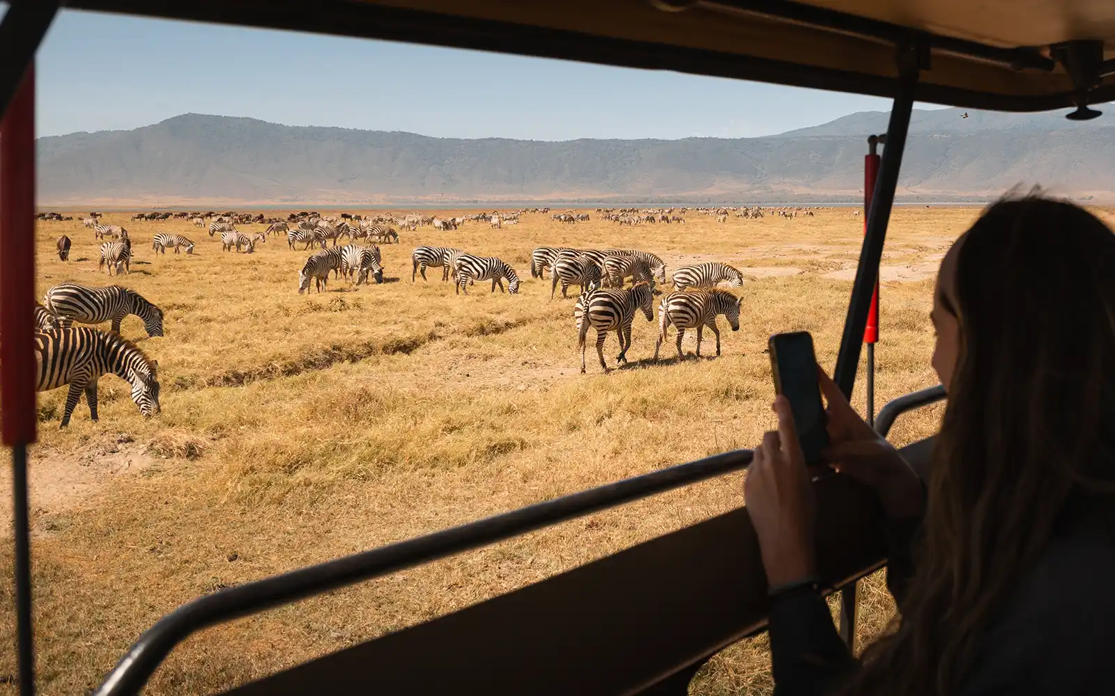 Game Drives