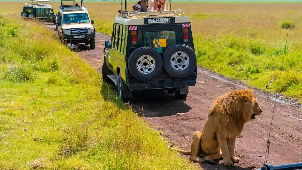 Ngorongoro Crater Safari