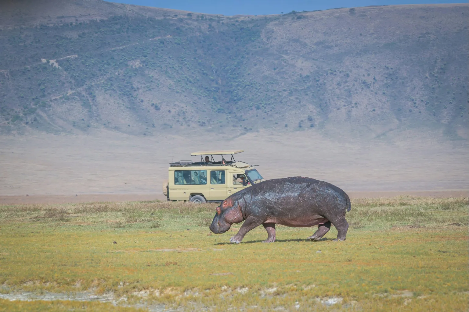 Ngorongoro Crater Safari Cost
