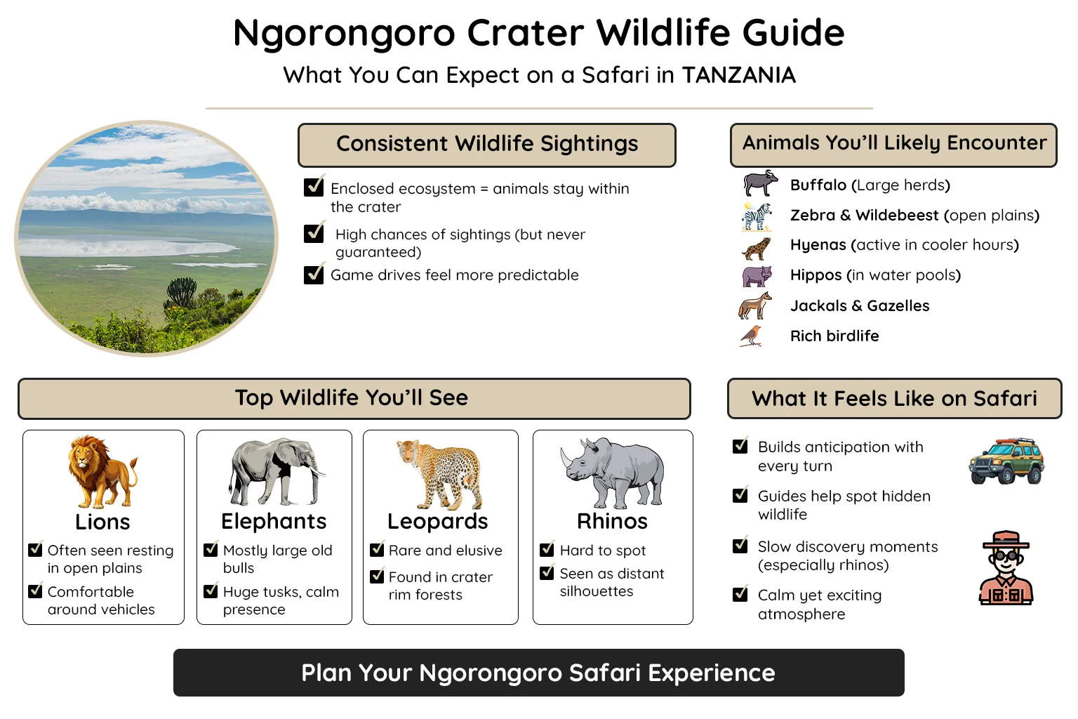 Ngorongoro Crater Wildlife