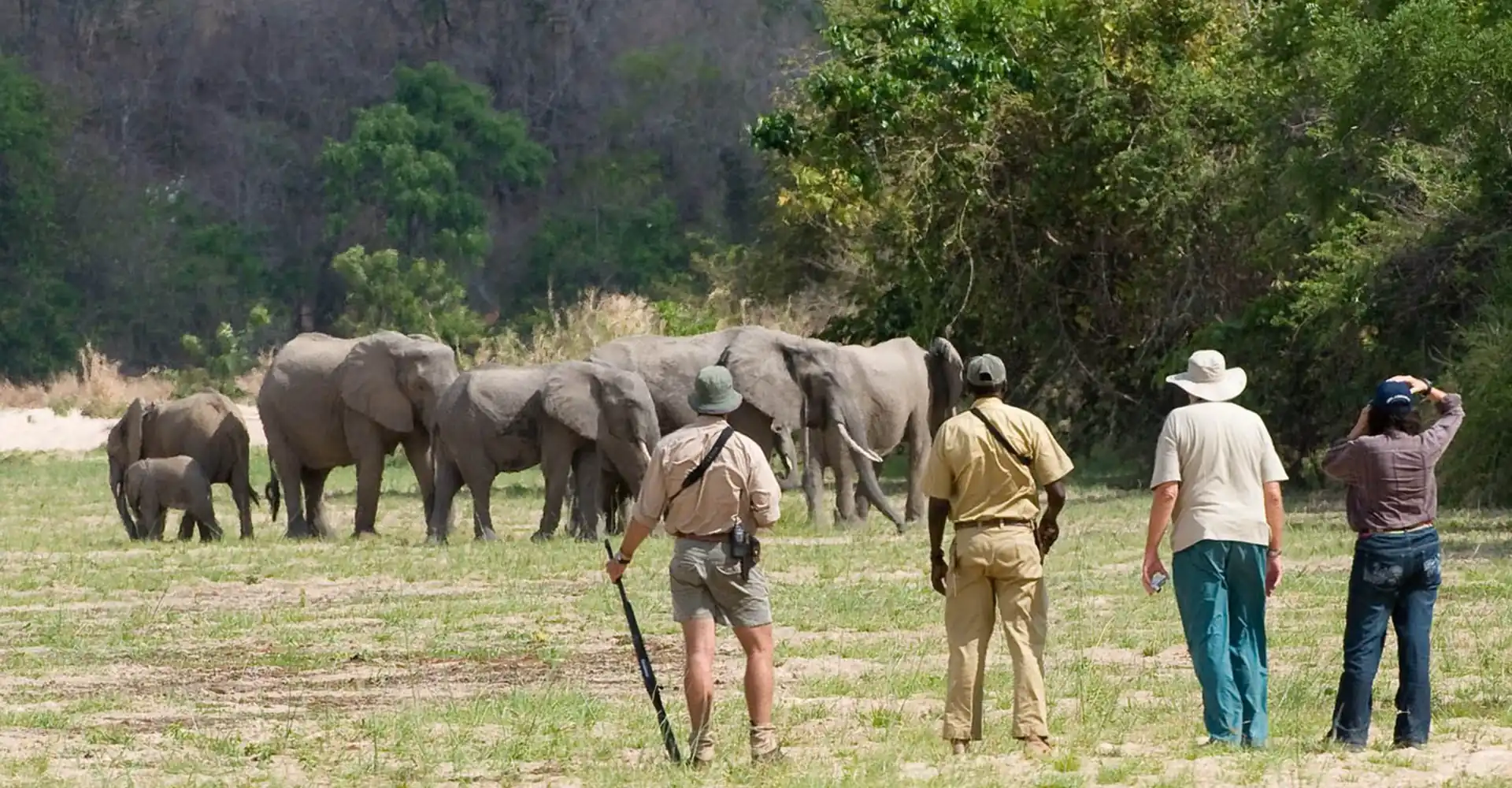 Nyerere National Park Attractions