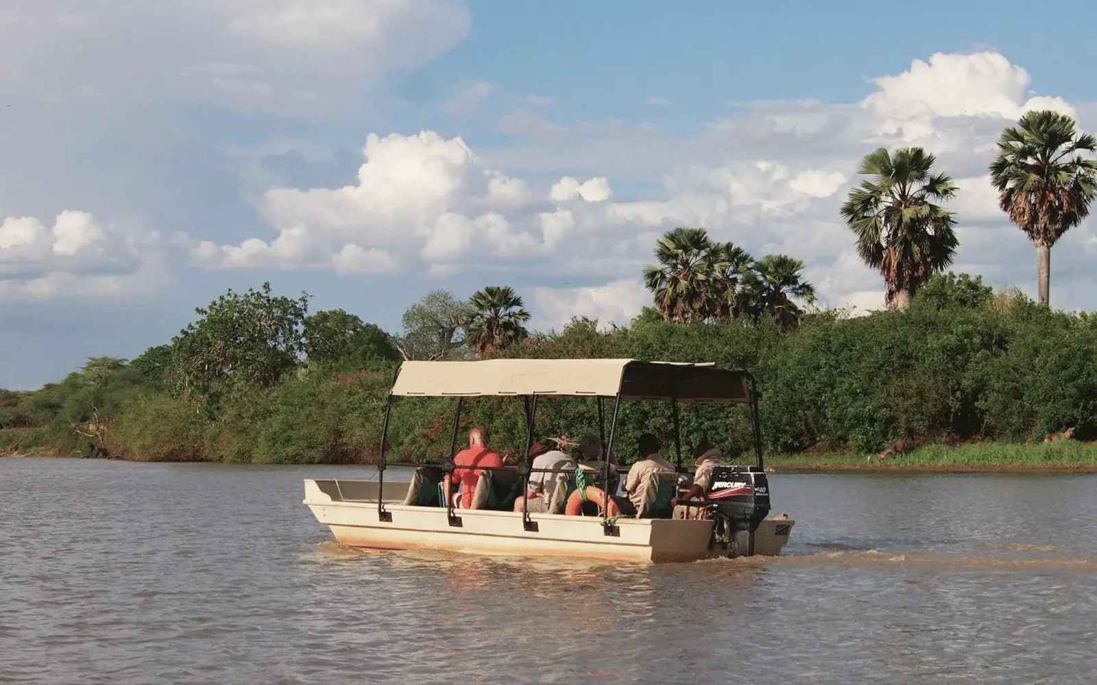 Boat Safari