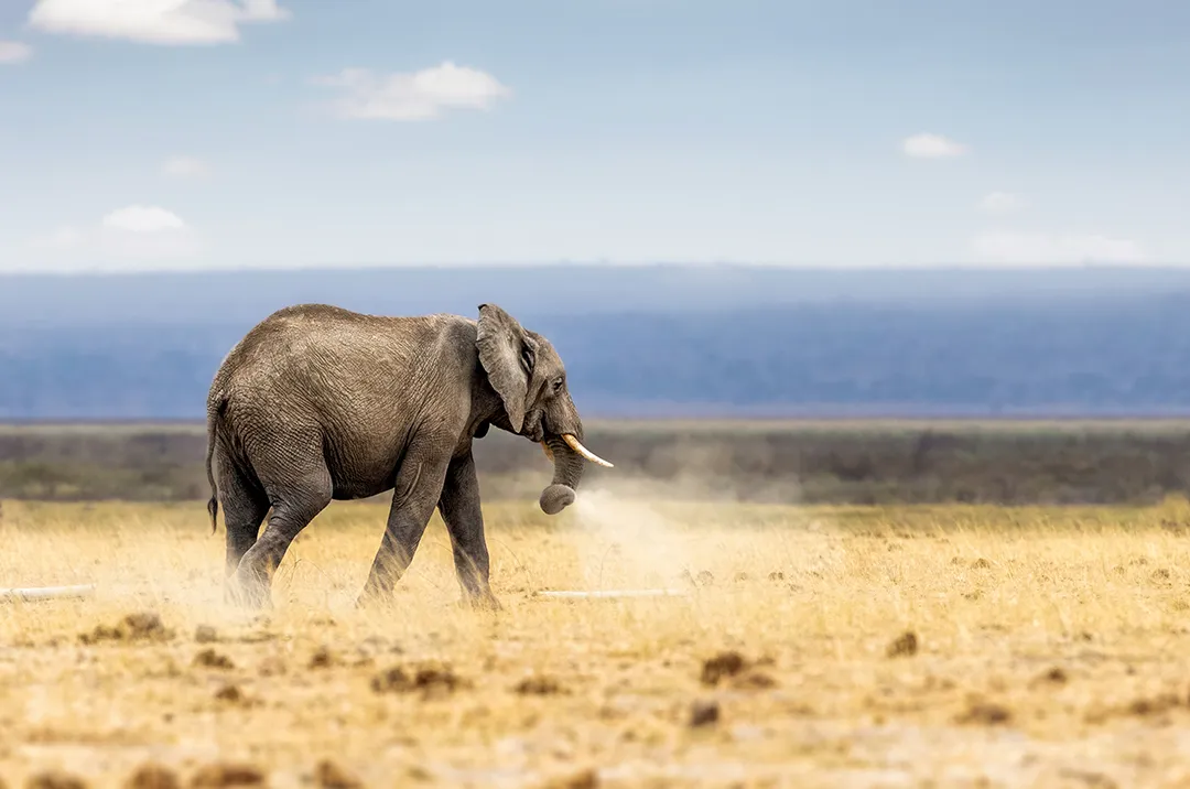 Best time to visit Tanzania