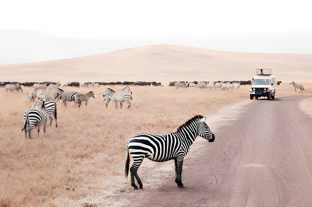 Tanzania Weather