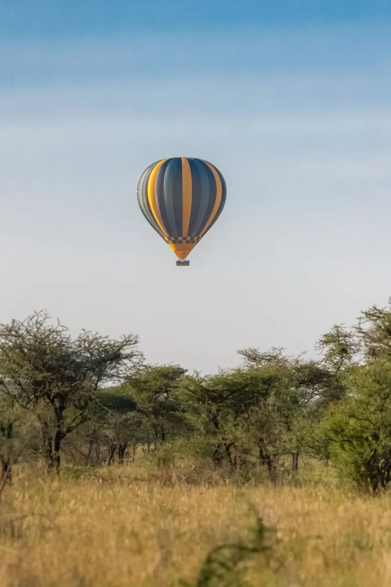 Bestday Safaris